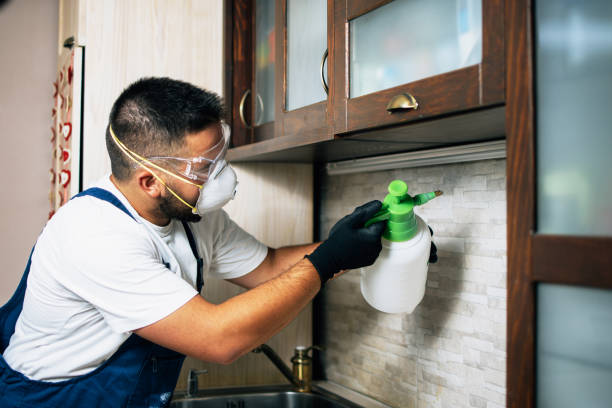 Best Exterminator Services  in Fort Irwin, CA