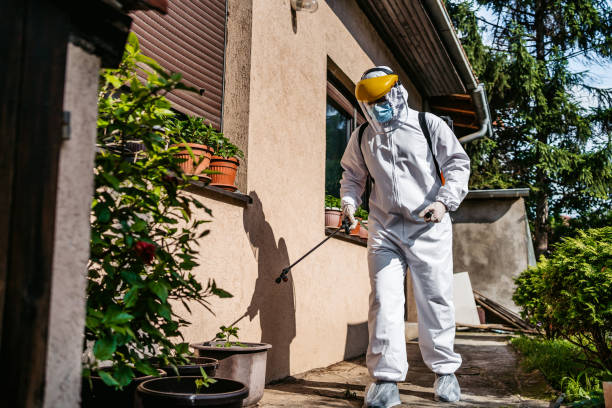 Best Mosquito Control Services  in Fort Irwin, CA