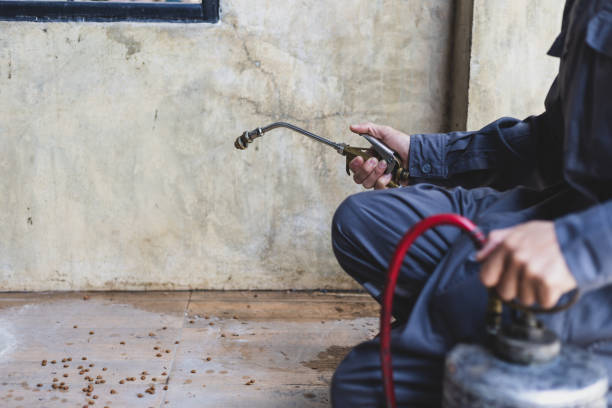 Best Ant Control Services  in Fort Irwin, CA